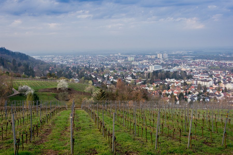 FotoAlbum BeerbachinBewegung/201904 Fotowanderung Fuerstenlager/i